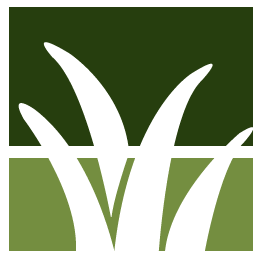 Laguna Niguel Lawn Clean Up