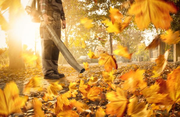 Leaf Blowing Service in Laguna Niguel