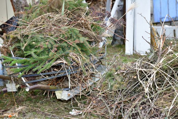 Yard Debris Removal in Laguna Niguel