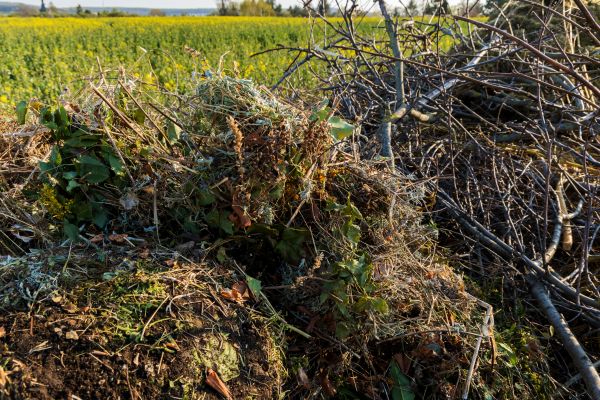 Brush Disposal in Laguna Niguel