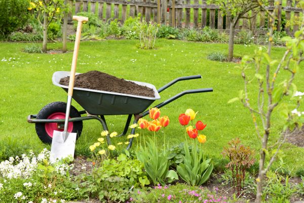 Spring Yard Cleanup in Laguna Niguel