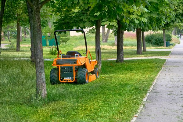 Landscaping Cleanup Service in Laguna Niguel