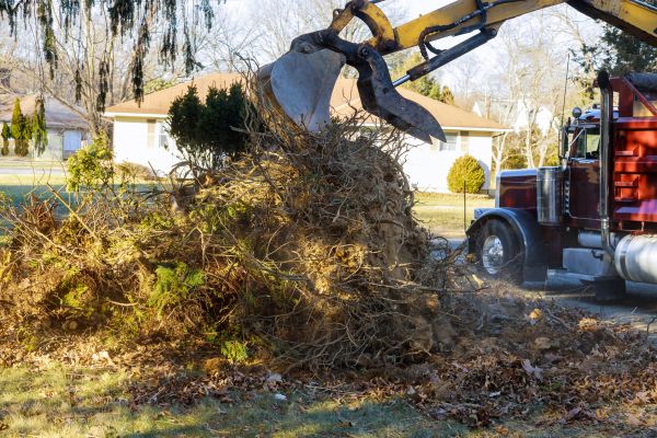 Storm Debris Removal in Laguna Niguel
