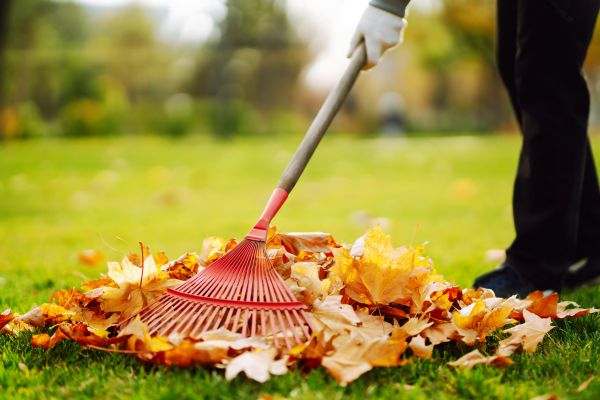 Cost of Ditch Leaf Removal in Laguna Niguel