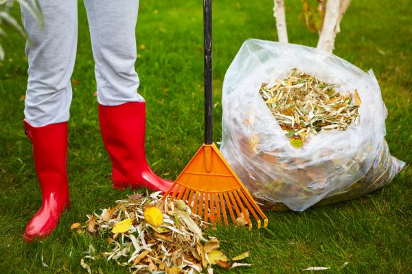 Leaf Disposal Service in Laguna Niguel