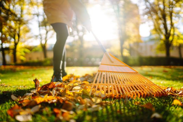 Leaves Raking in Laguna Niguel