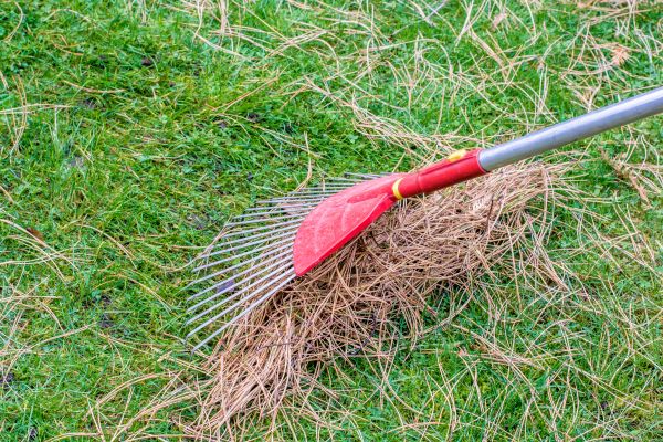 Yard Raking in Laguna Niguel