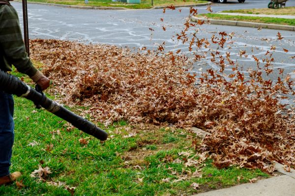 Garden Leaf Removal in Laguna Niguel