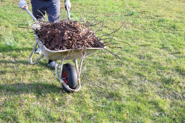 Yard Brush Removal in Laguna Niguel