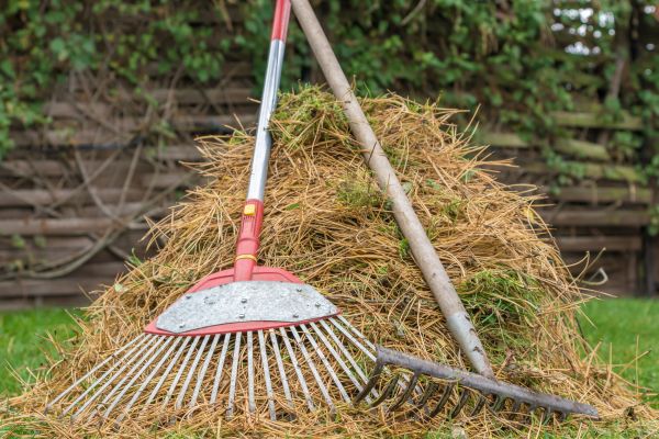 Pine Straw Clearing in Laguna Niguel