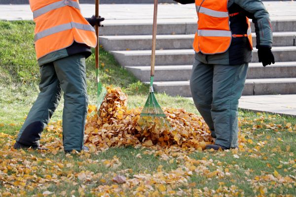 Cost of Leaf Hauling Service in Laguna Niguel