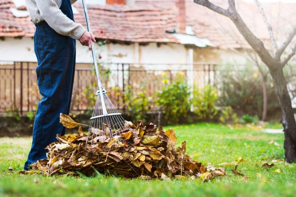 Spring Lawn Cleanup in Laguna Niguel
