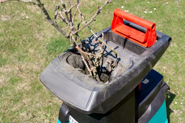 Cost of Brush Cleanup Service in Laguna Niguel