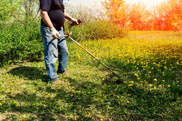 Yard Clearing Service in Laguna Niguel