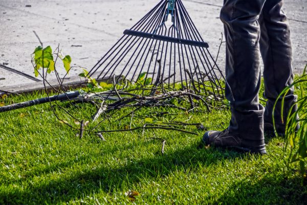 Yard Debris Cleanup in Laguna Niguel