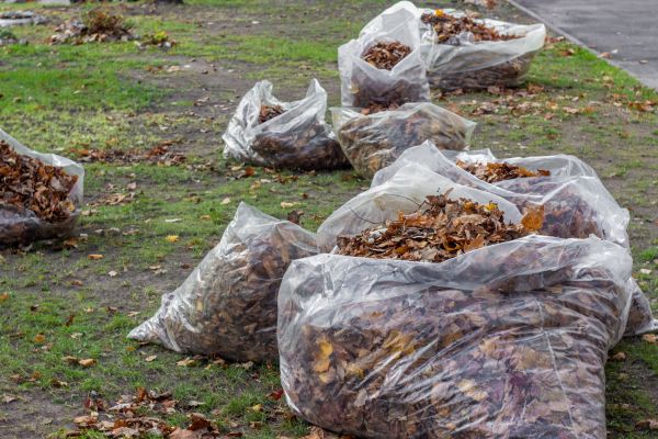 Leaf Pile Disposal in Laguna Niguel
