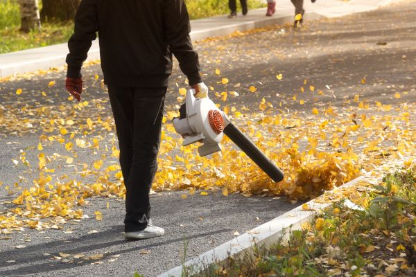 Commercial Leaf Removal in Laguna Niguel