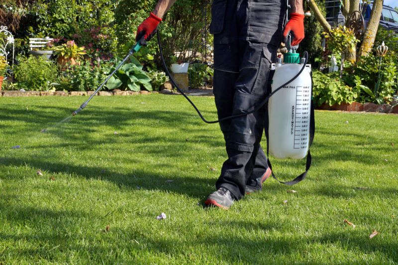 Lawn Clean Up Service