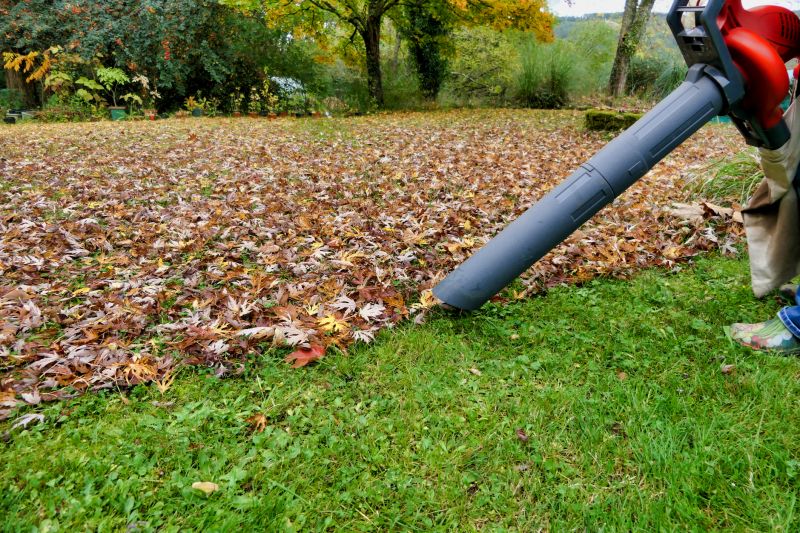 Autumn Lawn Care Tools