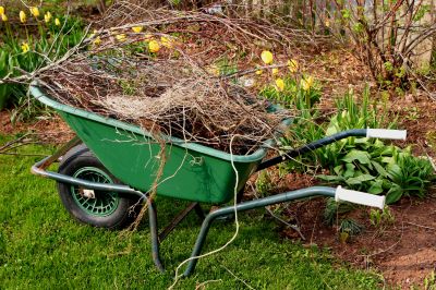Spring Lawn Cleanup detail