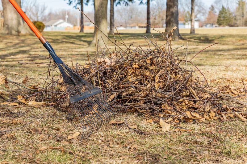 Storm Damage Cleanup