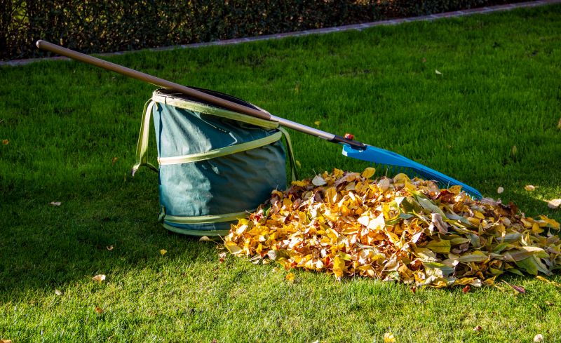 Lawn Waste Removal
