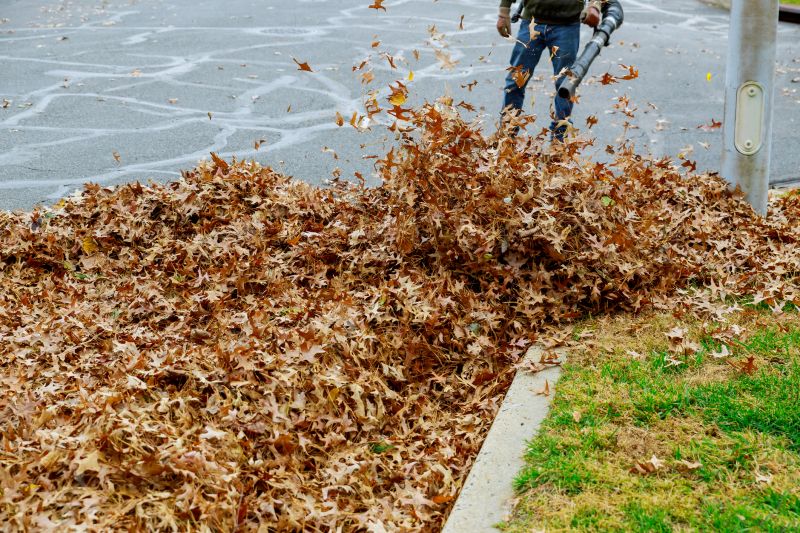 Leaves Vacuuming
