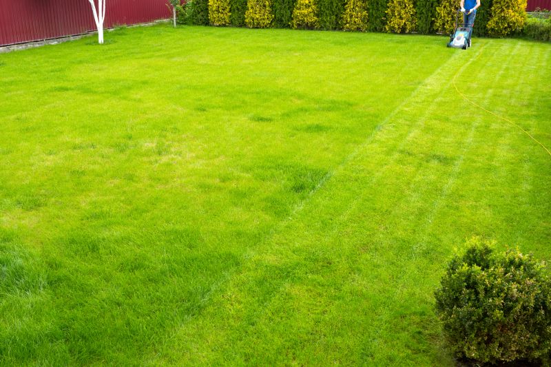 Full-Service Lawn Companies
