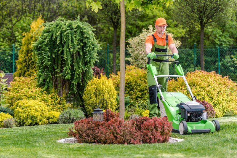 Affordable Lawn Cleanup Options